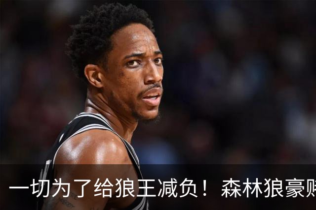 一切为了给狼王减负！森林狼豪赌后场双枪