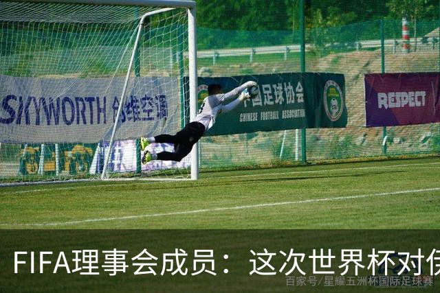 FIFA理事会成员：这次世界杯对伊朗太不公平，政治问题太敏感了